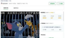 视频爆料看点,热门事件背后的惊人看点